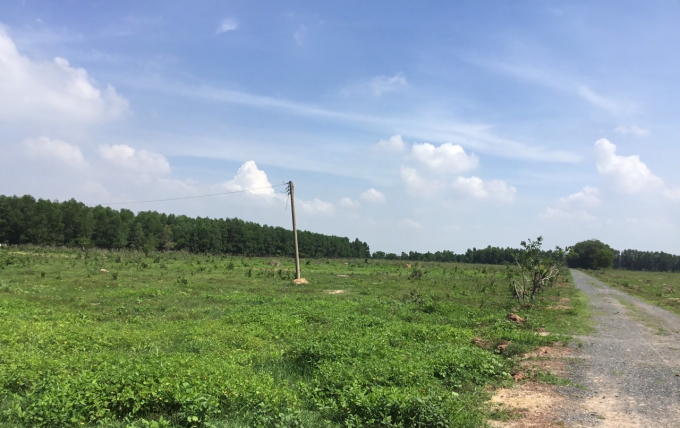 Phần đất mà cụ Hơn cho rằng thuộc quyền sở hữu của gia đình.