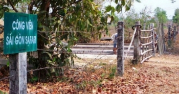 Địa ốc 7AM: Sẽ không lập Resort ở Công viên Sài Gòn Safari