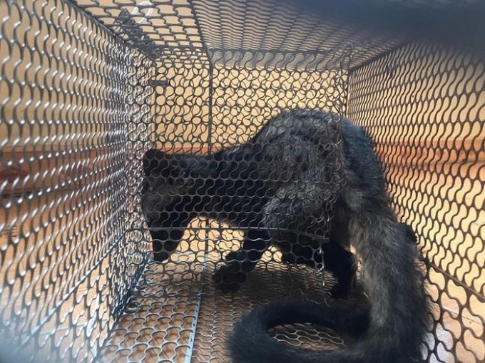 a8a933babff956a70fe8