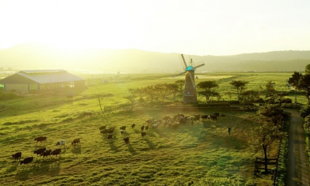 Kinh tế tuần hoàn: Chìa khóa mở “cánh cửa” phát triển bền vững