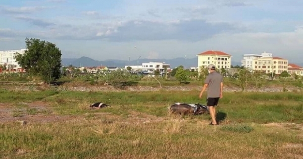 Quảng Bình: Bàng hoàng phát hiện thi thể người đàn ông bên bờ sông