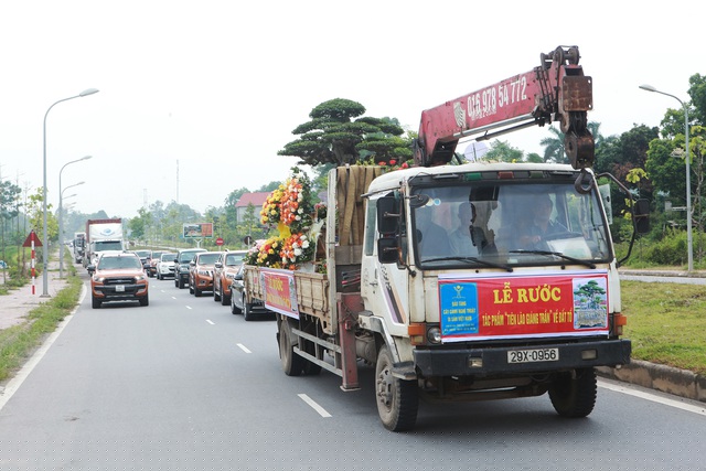 Đoàn xe hàng chục chiếc “hộ tống” xe chở cây đi một vòng tại quanh TP Việt Trì