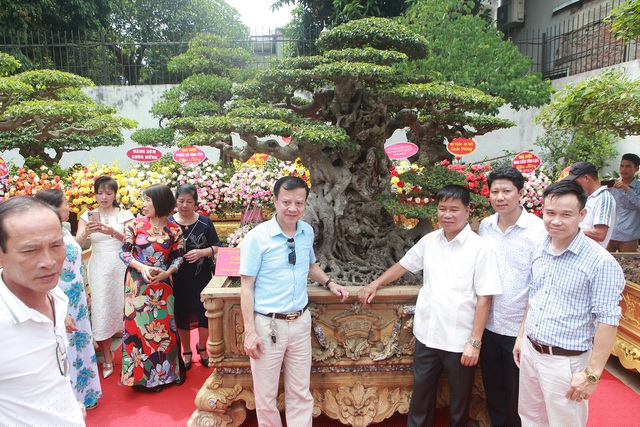 Theo anh Toàn, cây sanh cổ về vườn là không bao giờ có ý định bán đi. “Cây giá trị thực phải 2 triệu USD vì giá cây Việt Nam so với thế giới vẫn rẻ”, anh Toàn nói.