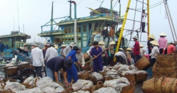 Quyết tâm gỡ “thẻ vàng” về khai thác hải sản