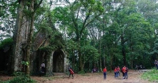 Làm gì để phát huy giá trị phế tích tại Vườn Quốc gia Ba Vì?