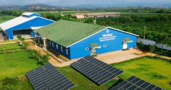 Hệ thống trang trại Vinamilk tăng trưởng ấn tượng