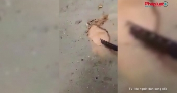 Vân Đồn – Quảng Ninh: Nhà thầu “sáng tạo” kỹ thuật thi công mới, chất lượng công trình hơn 70 tỷ có đảm bảo?