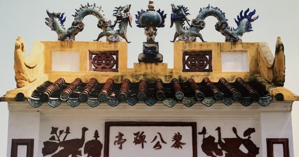 Khởi tố bị can, bắt tạm giam nghi can trộm trái châu gần 100 tuổi tại Lăng Ông - Bà Chiểu