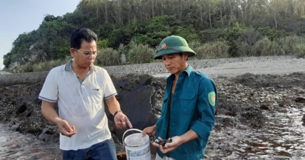 Quảng Ninh: Kỳ lạ nghề "vãi tiền" xuống biển thu bạc triệu