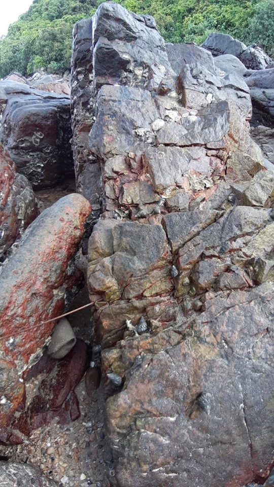 119141421_641081673497216_5230422800163037044_n