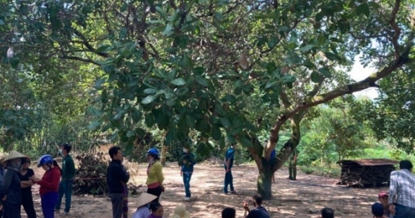 Tìm thấy thi thể bé trai 4 tuổi  tử vong dưới chân núi