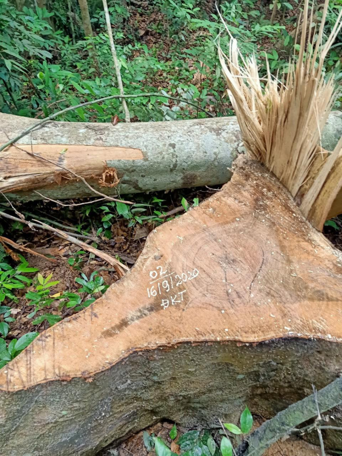 119403486_331843324802627_4529307899672127480_n