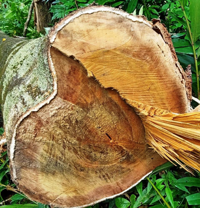 119556969_3913892311959947_842239189859875770_n