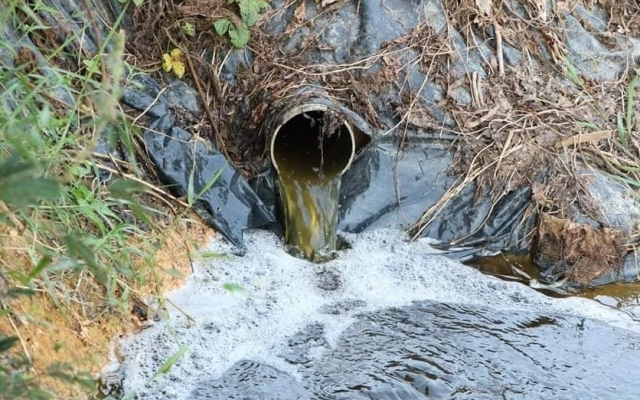 Người d&acirc;n huyện Nam Đ&agrave;n &ldquo;tố&rdquo; trại lợn ng&agrave;n con xả thải bức hại m&ocirc;i trường