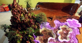 Chiếc bàn gắn hàng nghìn viên đá quý, độc đáo nhất Việt Nam