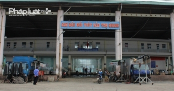 Đà Nẵng triển khai Đề án thí điểm khai thác chế biến và xuất khẩu cá nóc