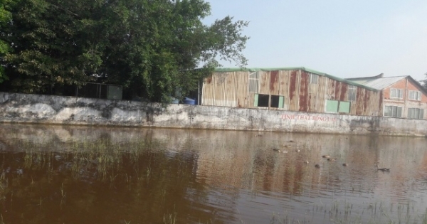 Tỉnh Long An yêu cầu làm rõ thủ đoạn trục lợi bất hợp pháp của nhóm người tại “Tịnh thất Bồng Lai”