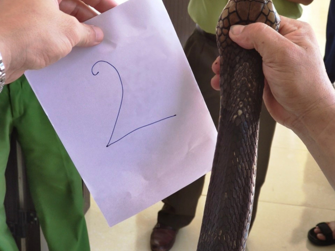 3a8487d4f95706095f46 (1)