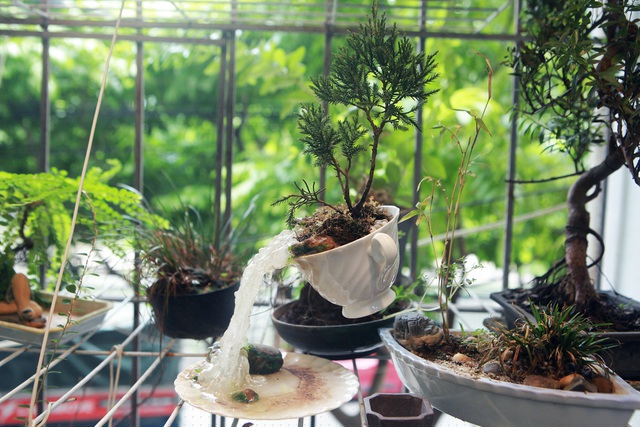 Những “tiểu cảnh bay” để bàn làm việc hay ban công chung cư nhìn rất đẹp, tạo cảm giác sảng khoái sau một ngày làm việc mệt mỏi