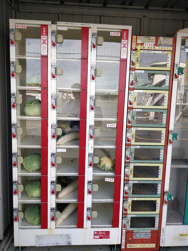 Thậm ch&iacute;, người d&ugrave;ng c&oacute; thể