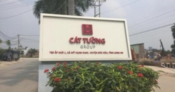 Cát Tường Group có dấu hiệu thông đồng trong đấu giá 313 lô đất ở Long An