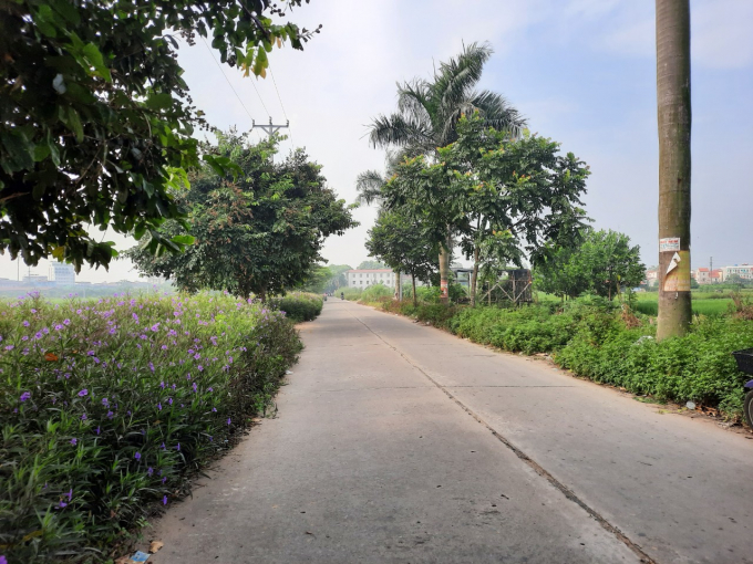 z2726241811990_179938d49bad6fbea6a2caefac451af7