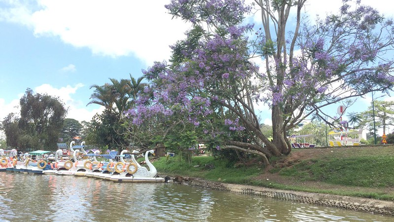 Các điểm du lịch ở Đà Lạt đều không một bóng du khách.