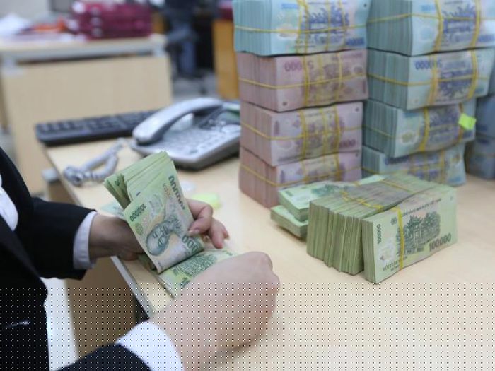 Nếu chào bán cổ phiếu thành công, Bamboo Capital sẽ huy động được hơn 1.785 tỷ đồng. Ảnh minh họa