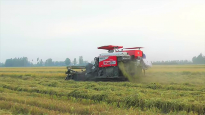 3.9- thu hoach vu he thu cham-1