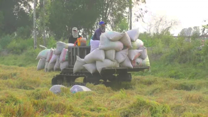 3.9- thu hoach vu he thu cham-2