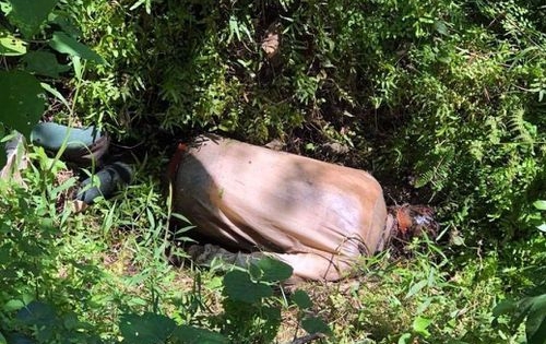 Phát hiện thi thể người đàn ông không rõ lai lịch đang phân huỷ tại bãi trồng cây cảnh