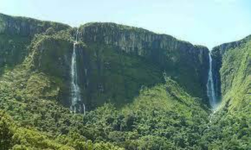 Nhiều du khách gặp những điều kỳ lạ trên núi Nyanganni.