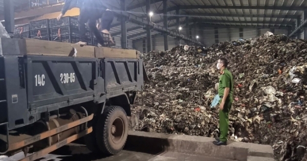 Quảng Ninh: Bắt giữ và tiêu hủy gần 36.000 con giống gia cầm nhập lậu