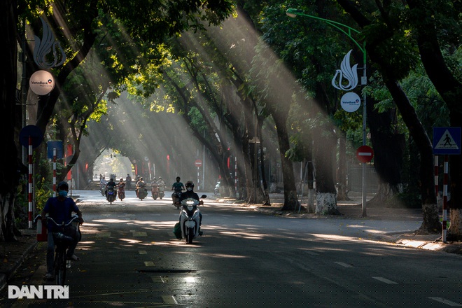 Phan Đình Phùng, có thể nói là con đường đẹp và lãng mạn bậc nhất Hà Nội, với những hàng cây cổ thụ rợp bóng. Trong ảnh những ray sáng xuyên qua những khoảng trống chiếu xuống đường tạo khung cảnh đẹp mắt.