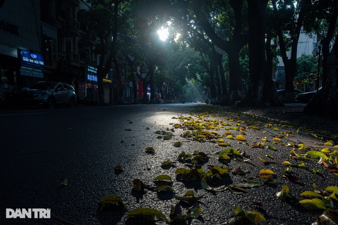 Hà Nội giao mùa khiến cho lòng người như trầm lắng hơn, lãng mạn hơn, lặng mình thưởng thức nét đẹp dịu dàng, tinh tế của mùa thu... 