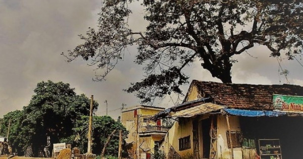 Ngẫm ngợi nơi gác nhỏ: Đất Bản Ngoại