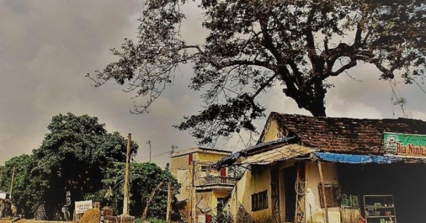 Ngẫm ngợi nơi gác nhỏ: Đất Bản Ngoại