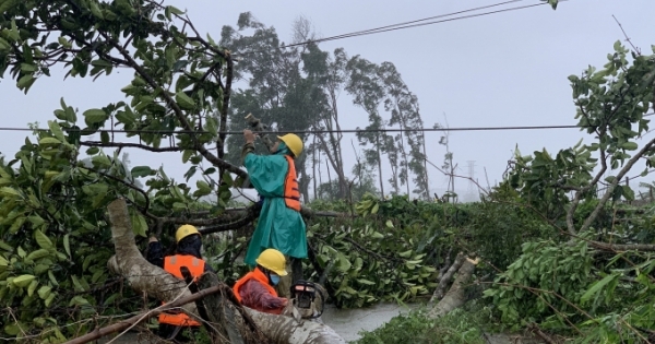 EVNCPC: 99,83% khách hàng được cấp điện trở lại sau bão số 5