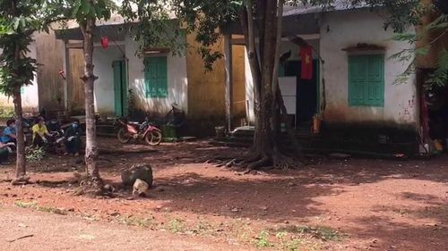 362D8F91-E6C9-4A2A-B41F-88D257B613E2.