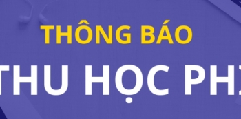 Cà Mau tạm thời chưa thu học phí năm học mới