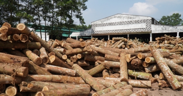 4 dự án chậm tiến độ tại Thanh Hóa sau gia hạn 24 tháng bây giờ ra sao?