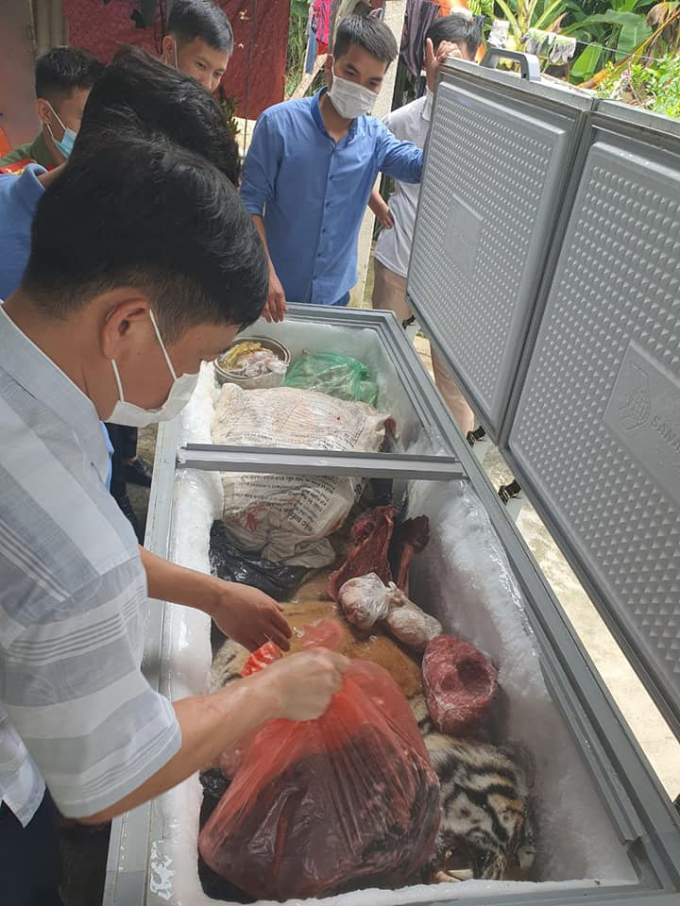 Lực lượng chức năng phát hiện con hổ ướp đông và xương động vật tại gia đình ông Chung. Ảnh CAHT.