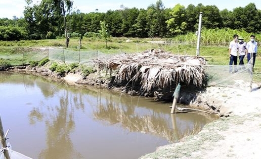 Nghệ An: Rơi xuống ao nhà, bé gái 4 tuổi tử vong thương tâm