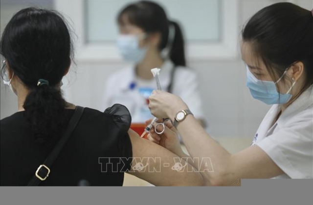 Hồ sơ của vaccine Nano Covax đã được chuyển sang Hội đồng Tư vấn cấp giấy đăng ký lưu hành thuốc