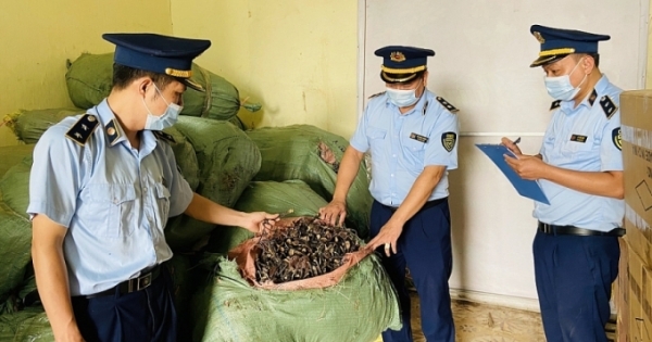 Vận chuyển gần 6 tạ nấm Lim và nấm Linh Chi không rõ nguồn gốc, tháo chạy khi bị phát hiện