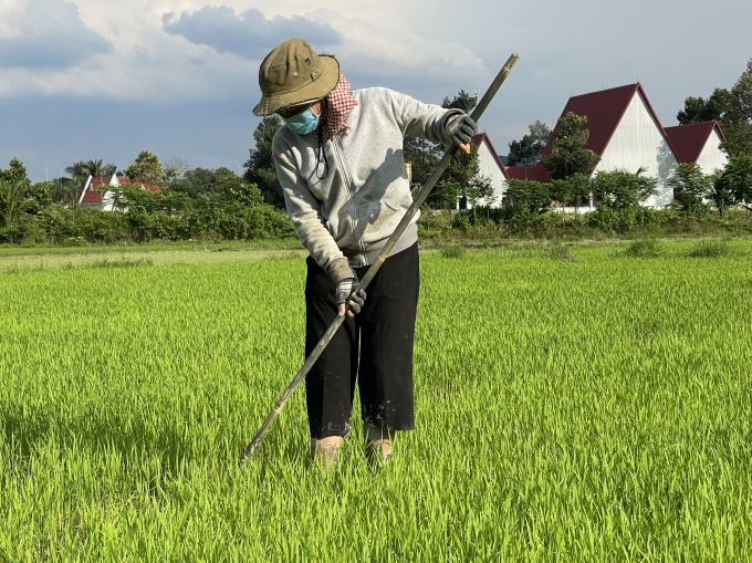 Trạng th&aacute;i b&igrave;nh thường mới nhanh ch&oacute;ng được thiết lập, đồng b&agrave;o c&aacute;c d&acirc;n tộc T&agrave; L&agrave;i bắt tay x&acirc;y dựng cuộc sống ấm no, hạnh ph&uacute;c sau những vết thương m&agrave; dịch bệnh để lại.