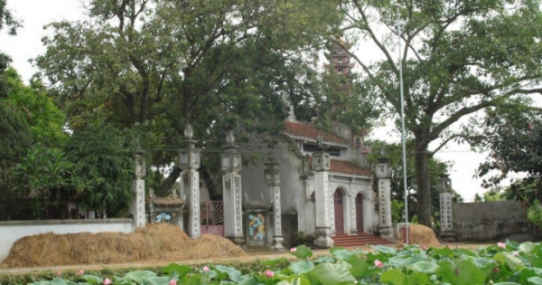 Lắng xuống mọi xôn xao, để nghe Tâm mình trọn vẹn