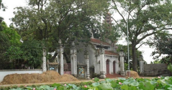 Lắng xuống mọi xôn xao, để nghe Tâm mình trọn vẹn