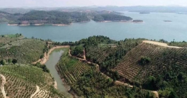 Dự án của Sài Gòn Đại Ninh tại Lâm Đồng: Muốn làm tiếp phải cam kết không chuyển nhượng