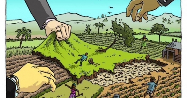 Lấn chiếm hơn 26.000m2 đất, Công ty CP Đầu tư Phát triển Đức Trí bị xử phạt